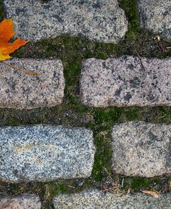 Old Montreal Cobblestones 02