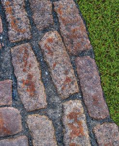 Old Montreal Cobblestones and Grass 01