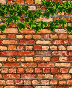 Brick Wall and Ivy