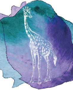 Color Spot Safari Animals Giraffe