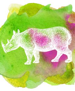 Color Spot Safari Animals Rhino