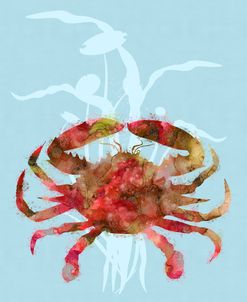 Mystical Crab