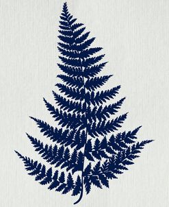 Indigo Fern Botanical I