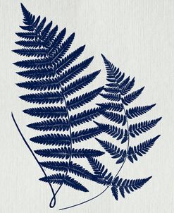 Indigo Fern Botanical II