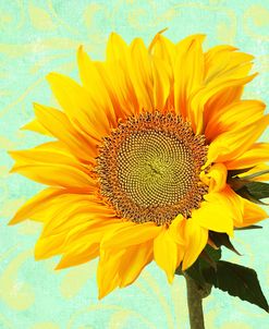 Summer Sunflower