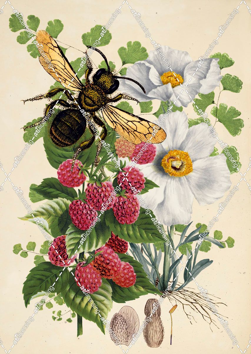 Bee Botanica I