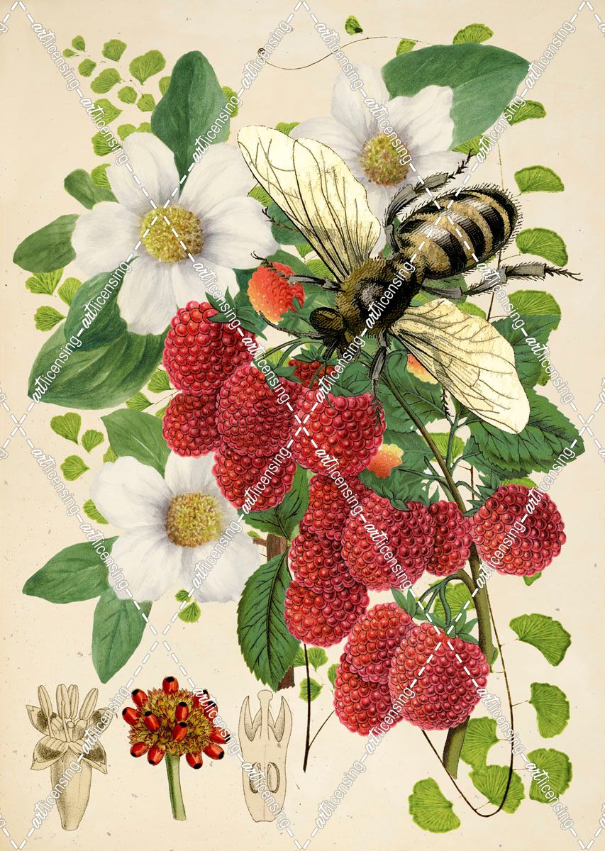 Bee Botanica II