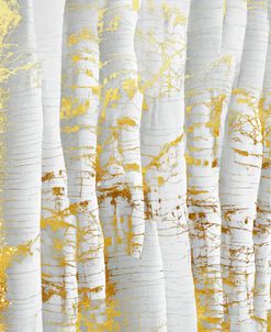 Golden Birch