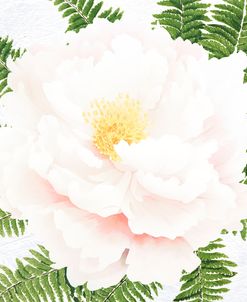 Fresh Peony I