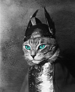 Viking Valkyrie Kitty