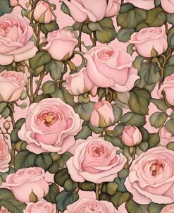Katie’s Pink Castilian Rose Garden