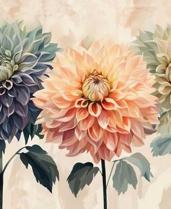 I Love Dahlias