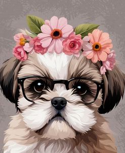 Siena Baby Shih Tzu