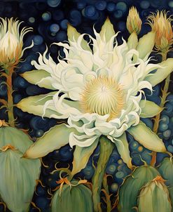 Night Blooming Cereus II