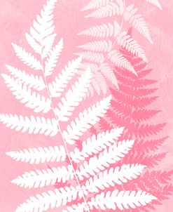 Fern Leaves In Pink
