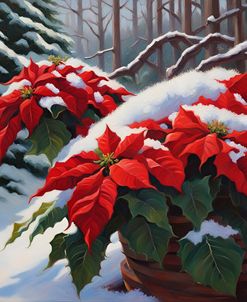 Poinsettias In The Snow I