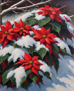 Poinsettias In The Snow II