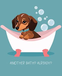 Another Bath Already Anti-Bath Dachshund