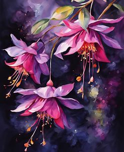 Otherworldly Fuchsias
