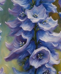 Delphinium Garden