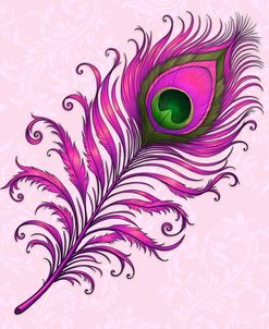 Pink Peacock Feather