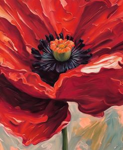 Deep Red Poppy