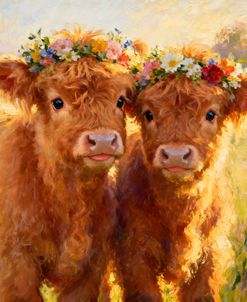 Cute Little Highland Cows