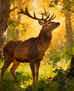 Lone Deer In The Forest