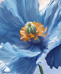 Himalayan Blue Poppy