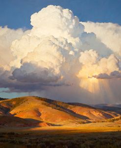 Western Landscape Summer