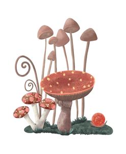 Mushroom Encounter 1
