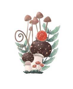 Mushrooms Snail