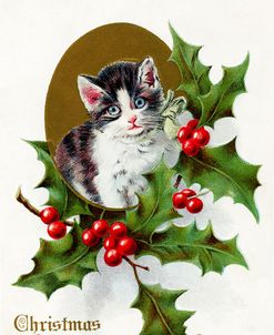 Kitten with Holly