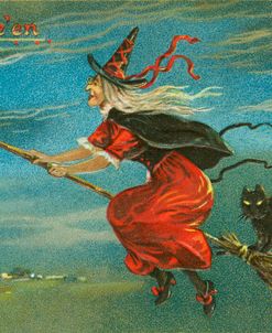Witch On Broom