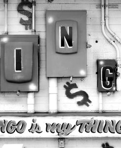Bingo Is My Thingo
