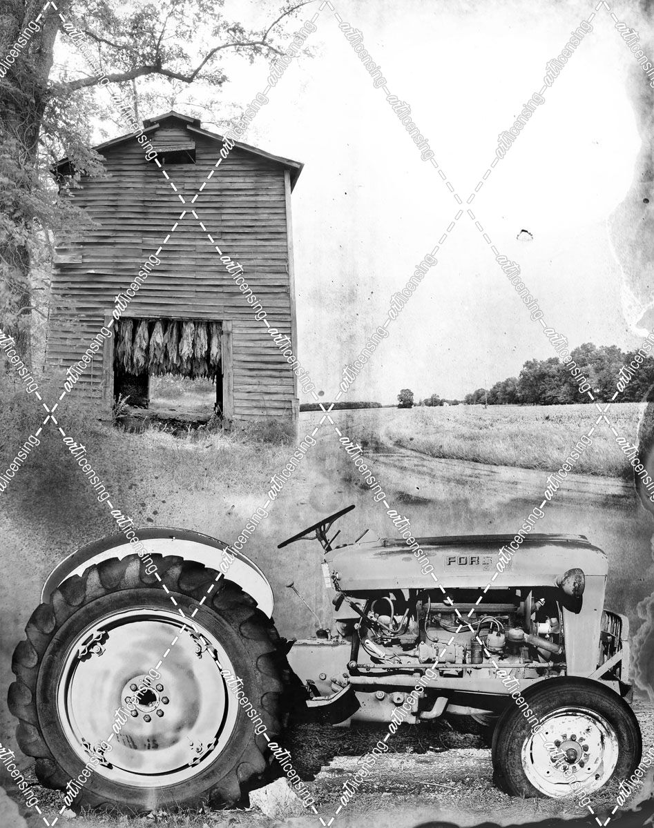 Tobacco Barn And Tractor