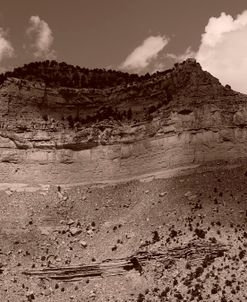 Top Ridge