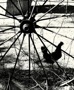 Chicken Wheel