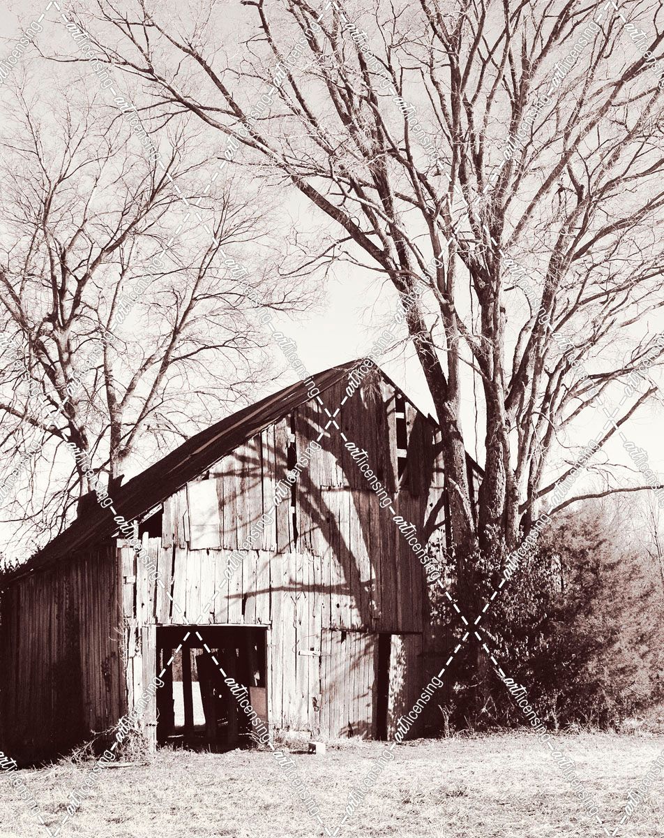 Another Barn
