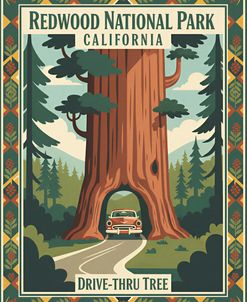 Redwood National Park 1