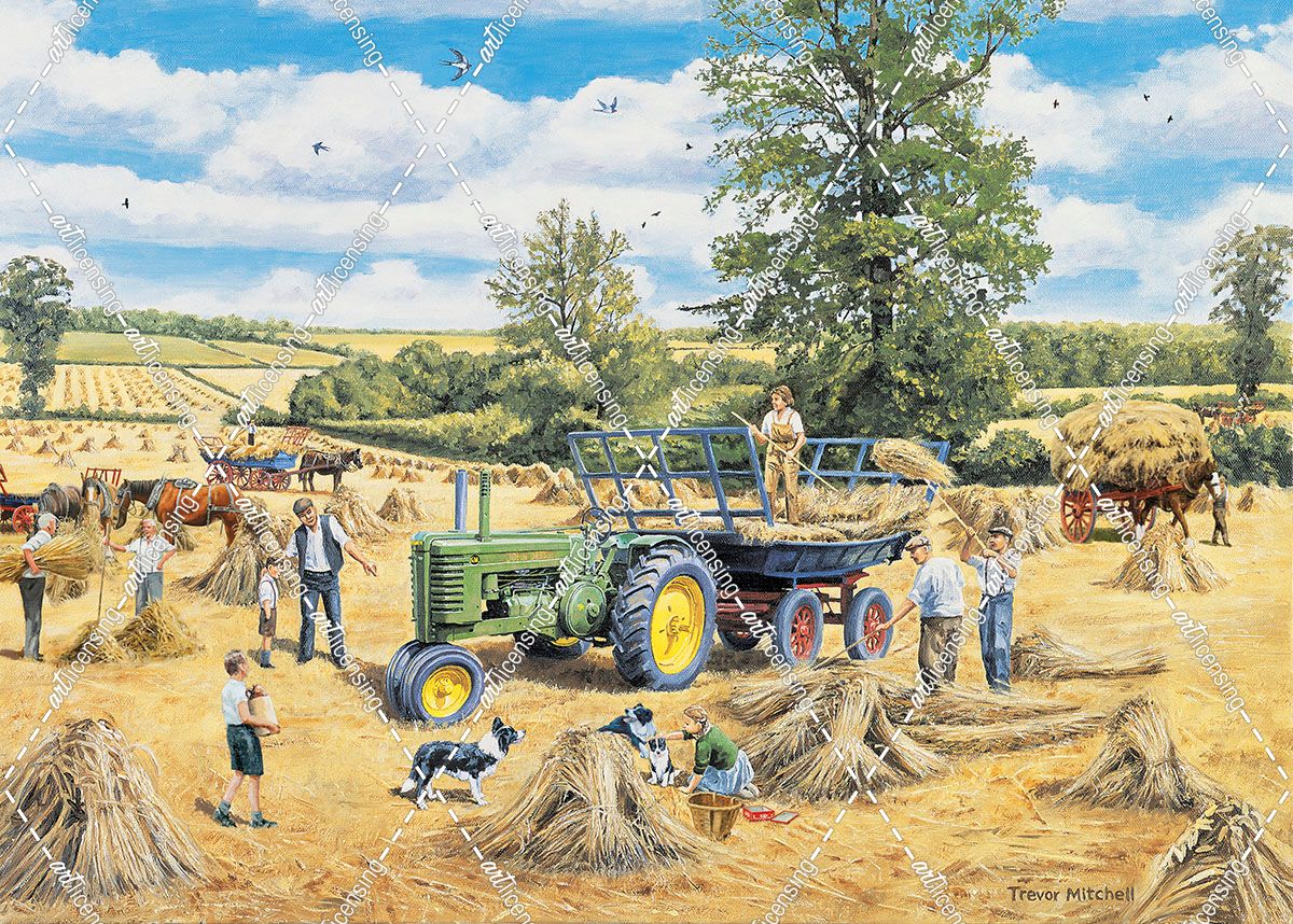 A Family Harvest
