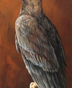 Watchful