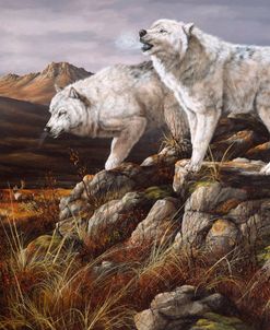 Arctic Warriors