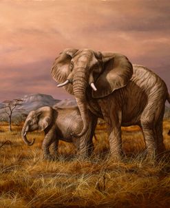 Mother and Child (Elephants)