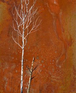 Autumn’s Touch