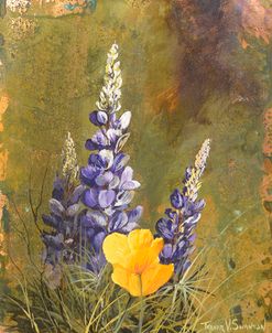 Poppies And Lupine