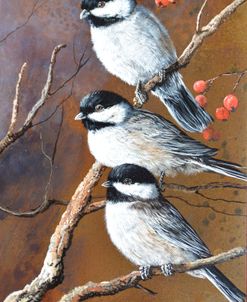 Chokecherry Trio