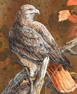 Watcher in Fall