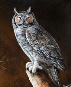 Watcher