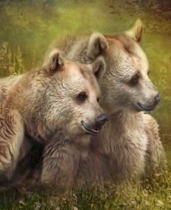 Bear Hugs